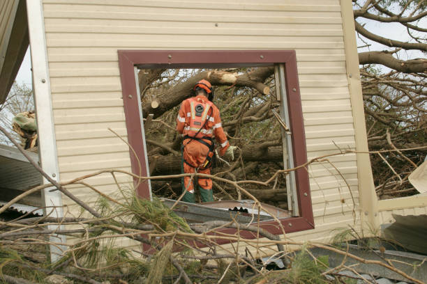 How Our Tree Care Process Works  in  Albia, IA